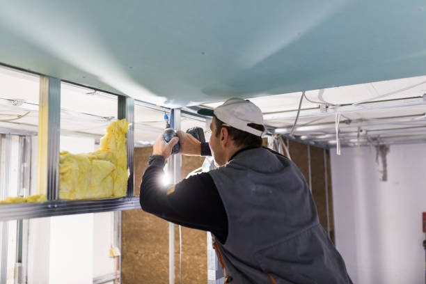 Best Insulation Maintenance and Repair in Burgaw, NC
