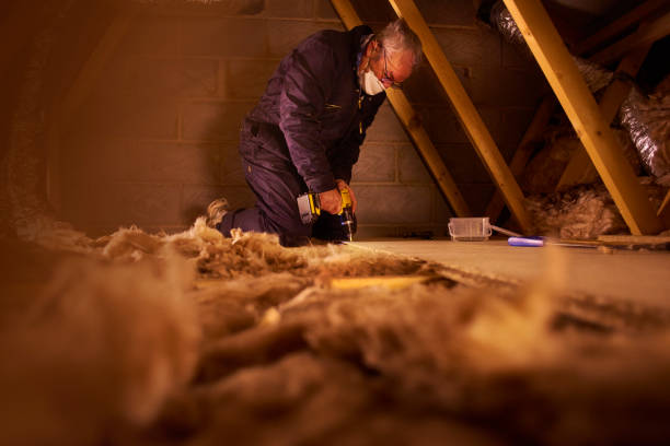 Best Geographic-Specific Insulation Services in Burgaw, NC